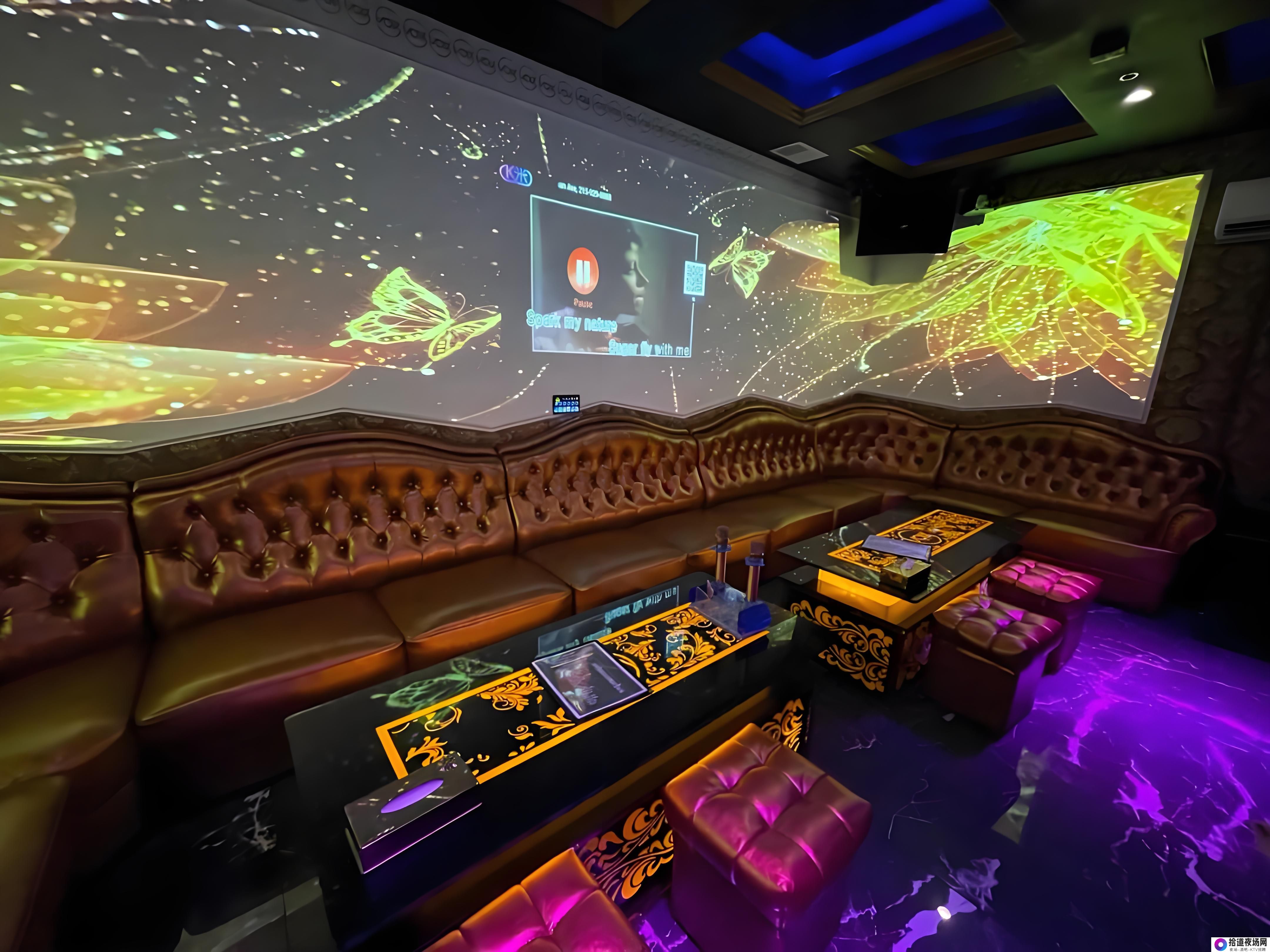 厦门KTV叫公主的费用是多少？全面解析与消费指南